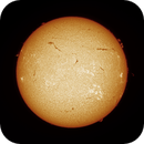 Sun FD in H-Alpha 8th of July 2025 - Colorized, Arne Danielsen