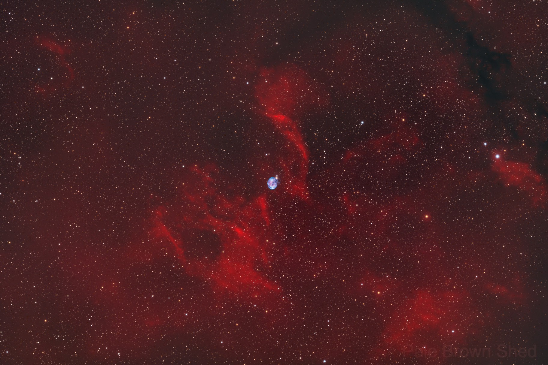 The Fetus Nebula in its Hydrogen Womb