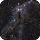 NGC 6726 Anteater Nebula in HaLRGB, Capturing Ancient Photons