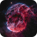 IC443 Queen’s Head, Evan Tsai