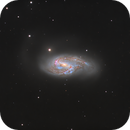 M66, David Wills (PixelSkiesAstro)