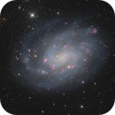 NGC 300 in Sculptor, Markus Blauensteiner