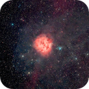 IC5146 (Cocoon Nebula) - SH2-125 - B168 - LBN 424  - VdB147, Lucio Tellini