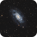 NGC2403, Almos Balasi