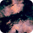 SH2-108 SHO, Peter Bresler