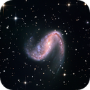 NGC 2442, Eduardo Rigoldi Fernandes