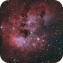 NGC1893 within IC410, Michael McNerney