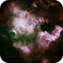 North American Nebula NGC 7000 SHO, Peter Bresler