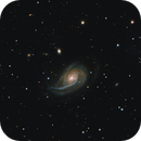 NGC772 - Fiddlehead Galaxy, DJ Van Bourgondien