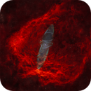 Squid (Ou4) and Bat (Sh2-129) Nebulae, Sarah Reilly