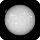 Sun FD in H-Alpha 12th of July 2025, Arne Danielsen