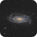 NGC5033 Portrait - Canes Venatici, Mau_Bard