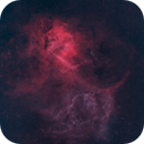 Lion Nebula, Bozo