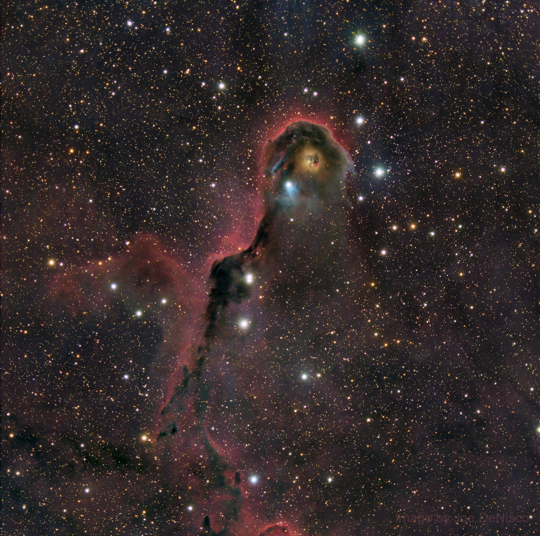 IC1396 ~ The Elephant Trunk (more like a Bird)