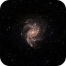 NGC6946 The Fireworks Galaxy 12in SCT Portrait, Anthony (Tony) Johnson