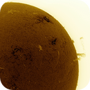 Solar Flare Spectacle (H-alpha, inverted), Reinhold Lamb