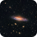 NGC7331, Jeff Nibler
