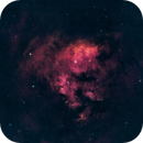 Question Mark Nebula, Bozo