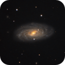 NGC3953, DoubleStarPhotography