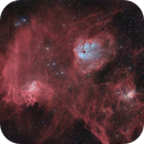 Flaming Star Nebula with Tadpoles and Spider Nebula, Thorsten Glebe