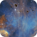 IC 2948 - Lambda Cen Nebula, Eduardo Rigoldi Fernandes