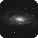 Supernova 2025mvn in NGC5033, Alex Varakin
