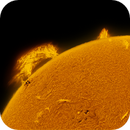 The Sun - 02.07.2025 - 16:37, Jan Erik Vallestad