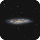 Messier 108 in Detail, Frank Sackenheim