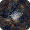 NGC 6823 in SHO from Parisian Suburbs, Georges
