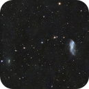 Coddington's nebula ( IC 2574 ), a dwarf galaxy in semi wide-field, Antonio Parisi