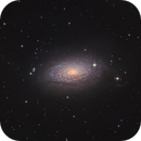 M63 - Next one with the new 585M sensor, Klaus Haaken