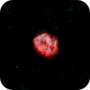 Caccoon Nebula IC 5146 HSS, Peter Bresler