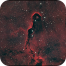 Elephant Trunk Nebula - IC1396 (Elephant Trunk Nebula - IC1396A), Patrick Jasanis