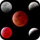 Lunar Eclipse March 2025, Leif Petersen