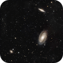 Bodes and Cigar Galaxies, Andrew Whiter
