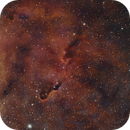 IC1396B Elephant's Trunk Nebula, Reinhold Lamb