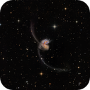 NGC 4039 and NGC 4038 Merging, Alex Woronow