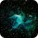 NGC 2359 Thor's Helmet HSO, Peter Bresler