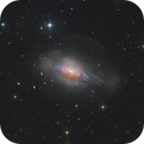 NGC3521&Supernova, Jiang Wu