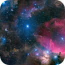 Orion's Belt and Surroundings, Evan Tsai