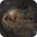 LDN1251 - Rotten Fish Nebula, Colm O'Dwyer