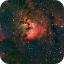 NGC 7822 inside of SH2-171 RGB, John Favalessa