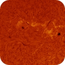 AR14121 AR14118 AR14117 AR14115 in h-alpha taken 25062025, nonsens2