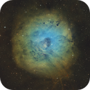 Sh2-170 / Little Rosette Nebula (SHO), Turix
