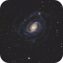 NGC289, Daniel Carter