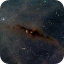 Cosmic Bat, David Quattlebaum