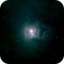 Iris Nebula NGC 7023, Peter Bresler