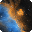 IC2177 Seagull Nebula, Dhaval Brahmbhatt