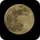 Mars Passing by the Oak Moon, Bozo
