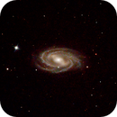 M 109, Sandro Fossi